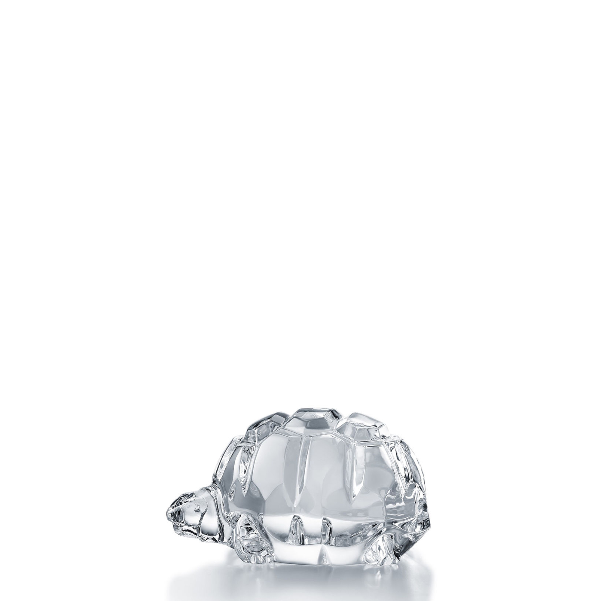 Coppa Baccarat Heritage Damier